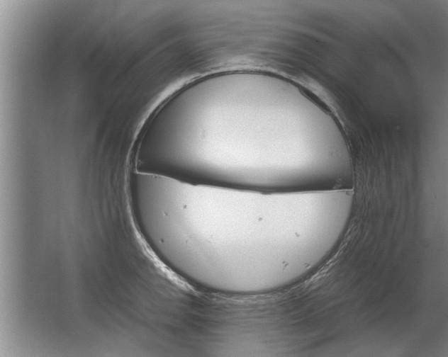 X0000067521142200604150153