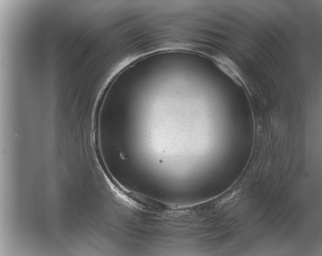 X0000067521143200604150153