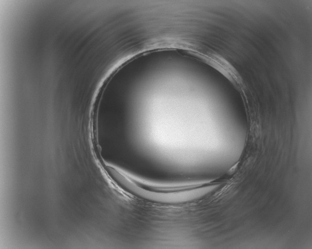 X0000067521144200604150153