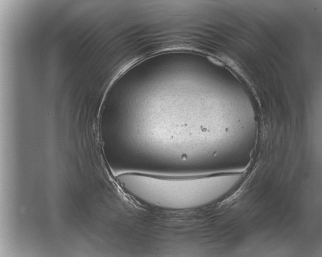 X0000067521145200604150153