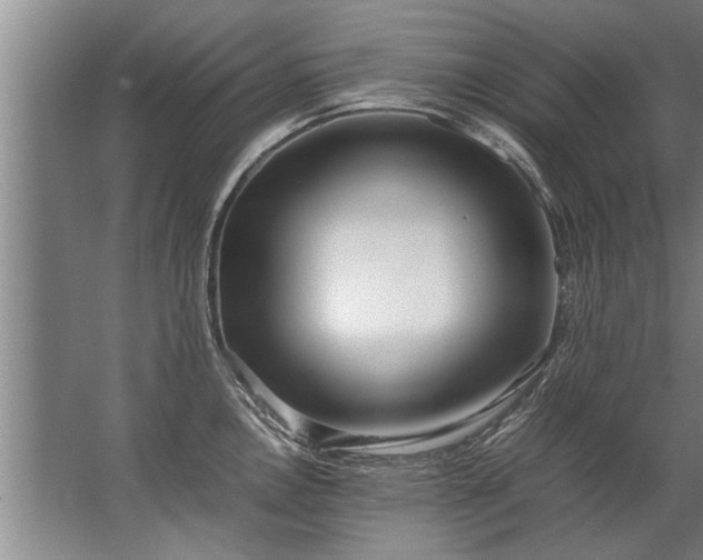 X0000067521146200604150153