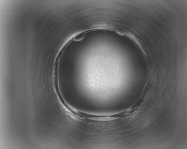 X0000067521147200604150153