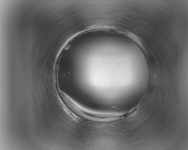 X0000067521148200604150153