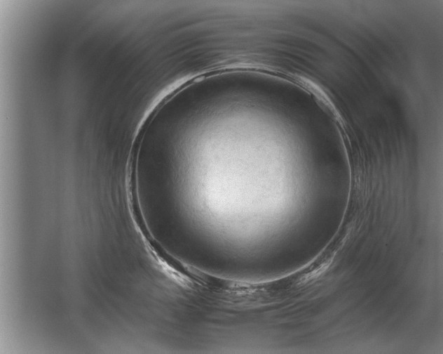 X0000067521149200604150153