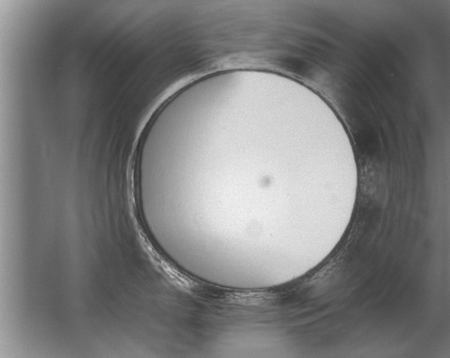 X0000067521150200604150153