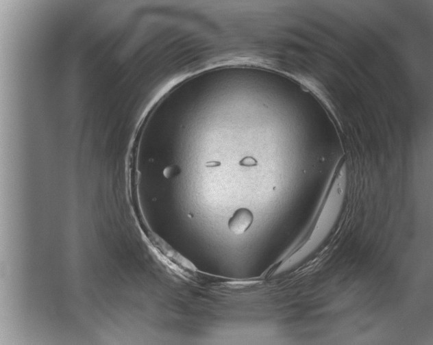 X0000067521151200604150153