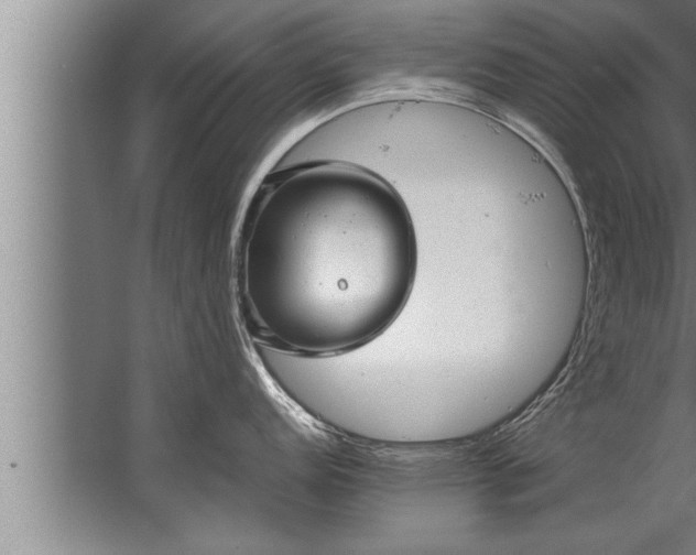 X0000067521152200604150153