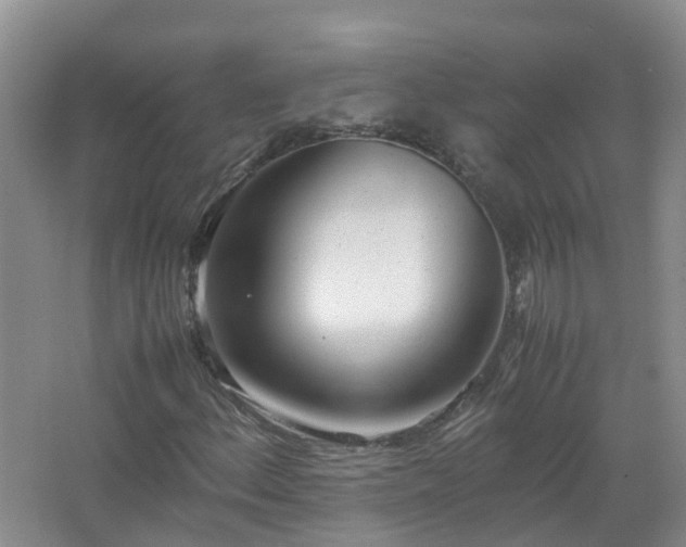 X0000067521156200604150152