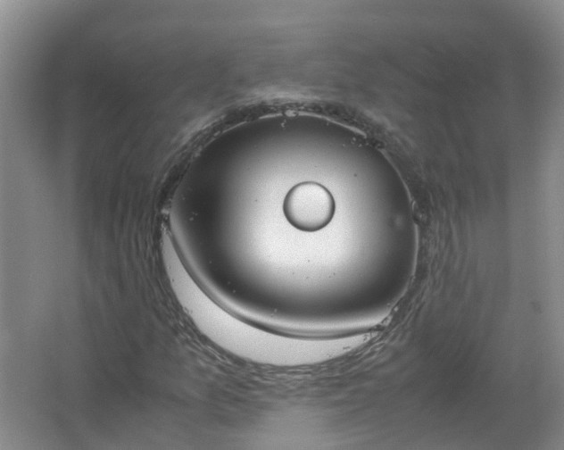 X0000067521157200604150152