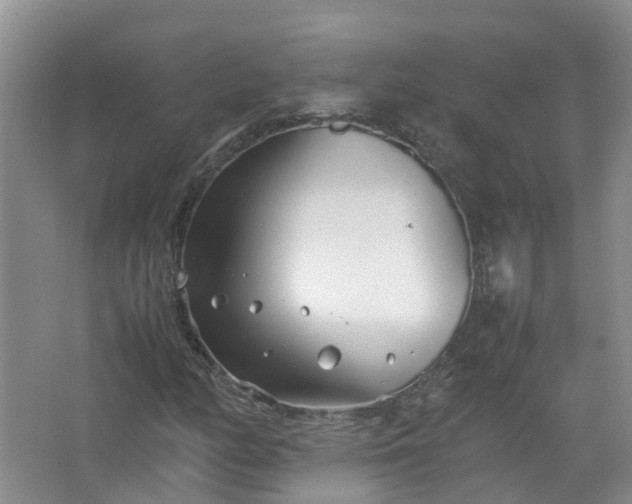 X0000067521158200604150152