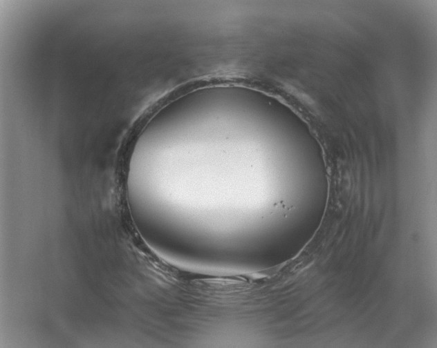 X0000067521160200604150152