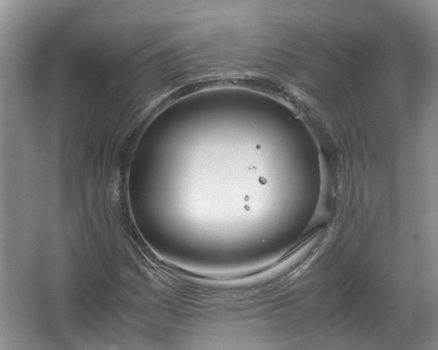 X0000067521161200604150152