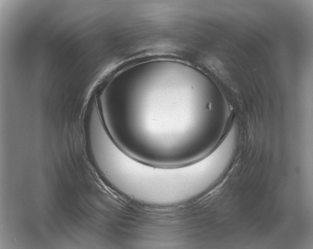 X0000067521164200604150152