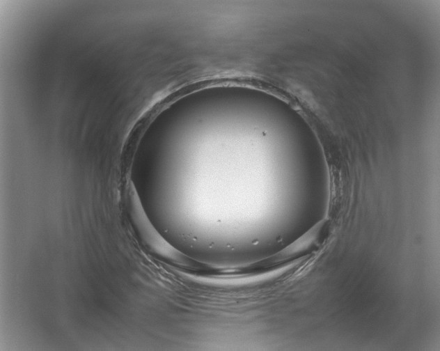 X0000067521165200604150152