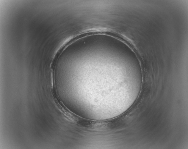 X0000067521171200604150152