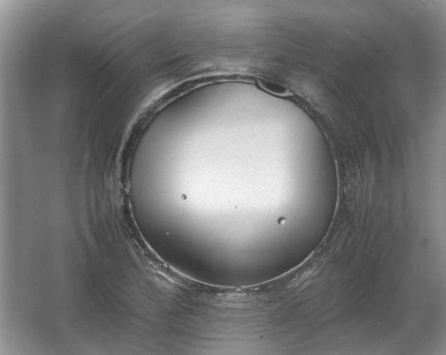 X0000067521172200604150152