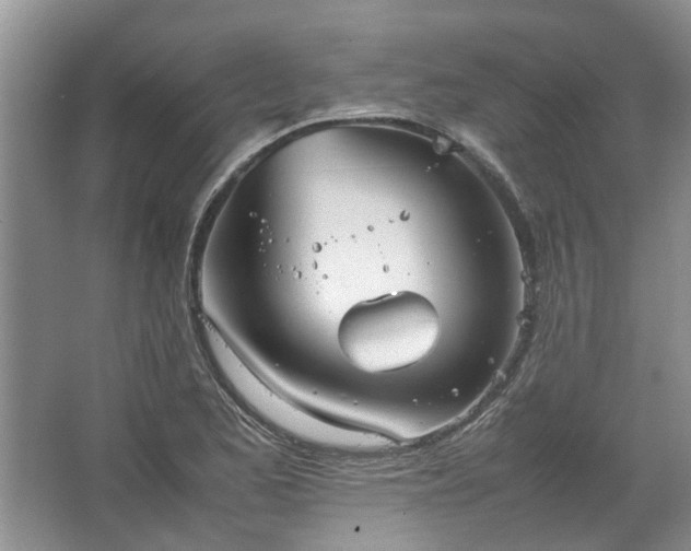 X0000067521173200604150152