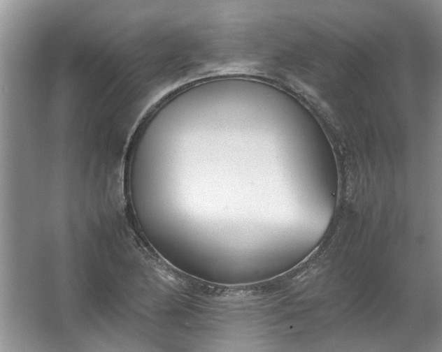 X0000067521174200604150152