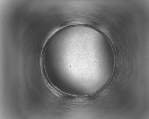 X0000067521179200604150152