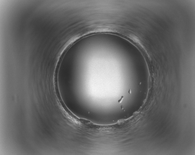 X0000067521181200604150152