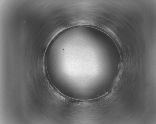 X0000067521182200604150152