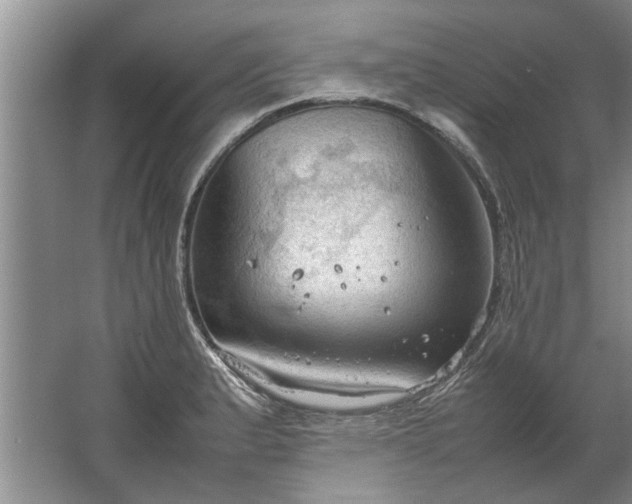 X0000067521183200604150152