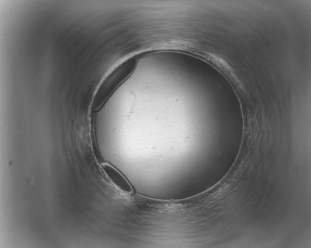 X0000067521184200604150152