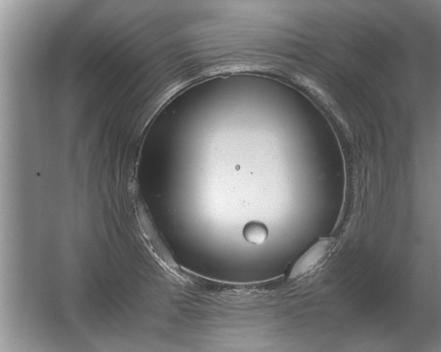 X0000067521185200604150152