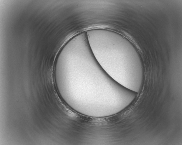 X0000067521186200604150152