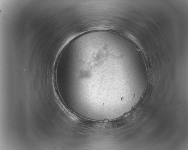 X0000067521187200604150152