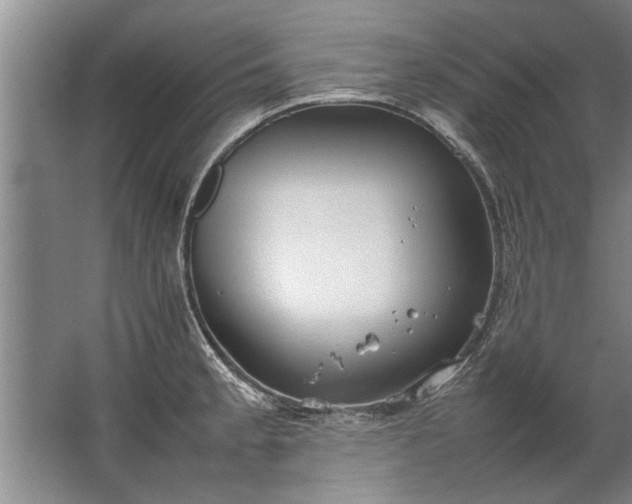 X0000067521189200604150152