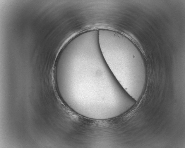 X0000067521190200604150152