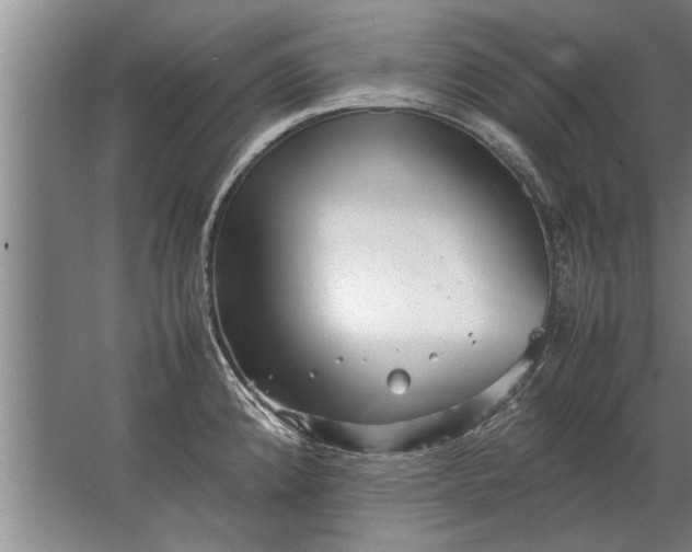 X0000067521192200604150152