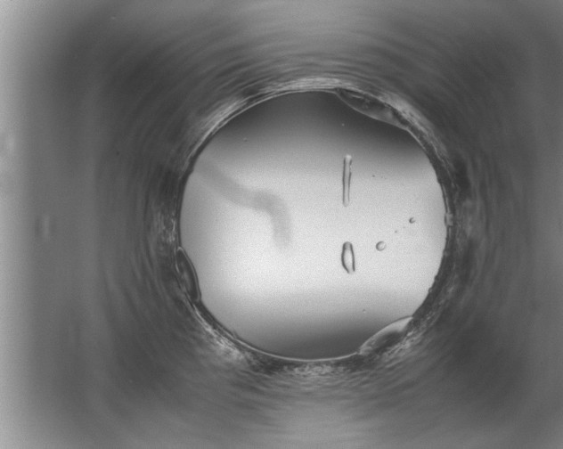 X0000067521193200604150152