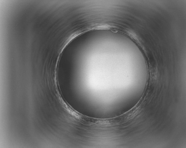 X0000067521194200604150152