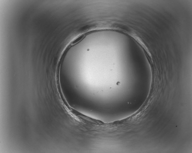 X0000067521197200604150152