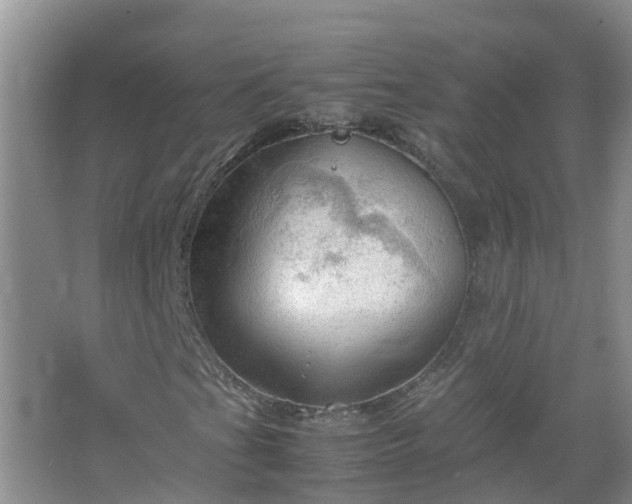 X0000067521201200604150151