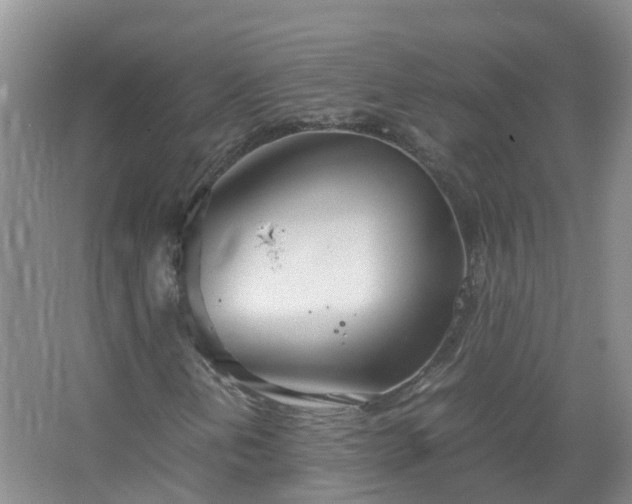 X0000067521202200604150151