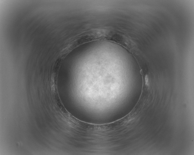 X0000067521203200604150151