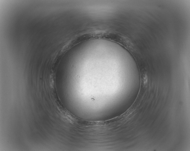 X0000067521204200604150151