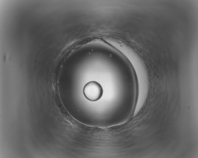 X0000067521206200604150151