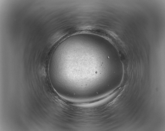 X0000067521209200604150151