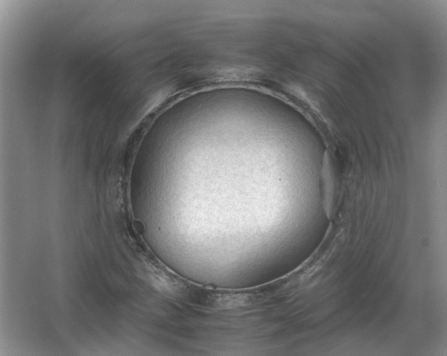 X0000067521211200604150151