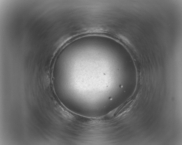 X0000067521212200604150151