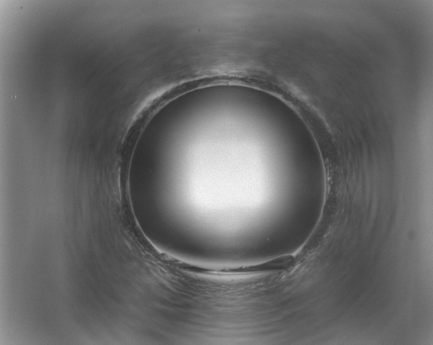 X0000067521214200604150151