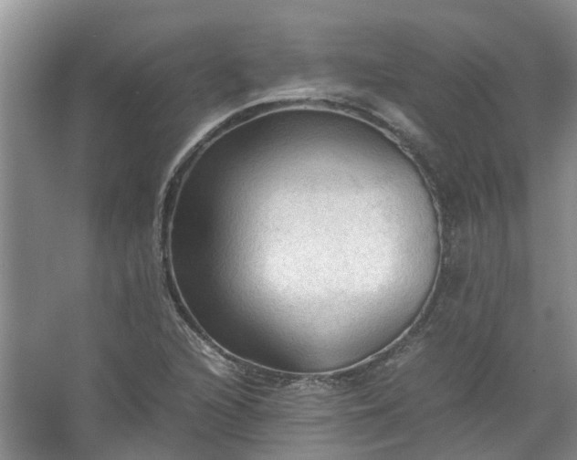 X0000067521216200604150151