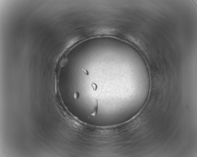 X0000067521219200604150151