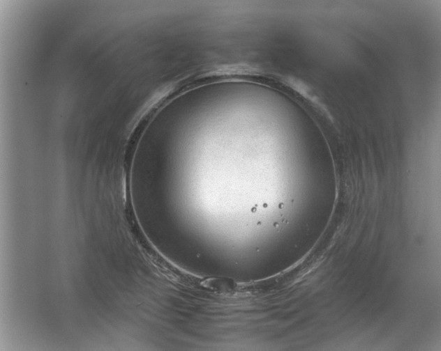 X0000067521221200604150151