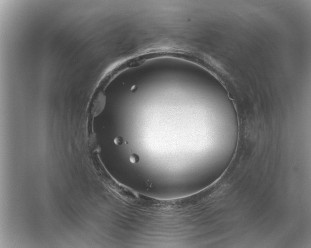 X0000067521222200604150151