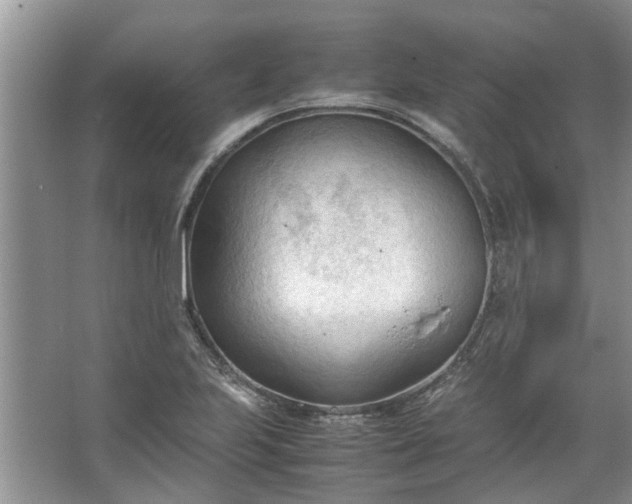 X0000067521223200604150151